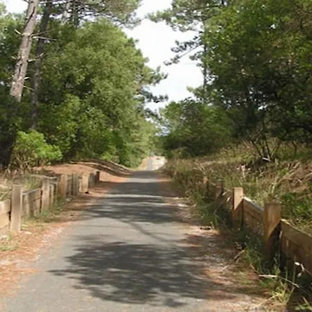 Maison Confortable A Avec Piscine Partagee * Lacanau