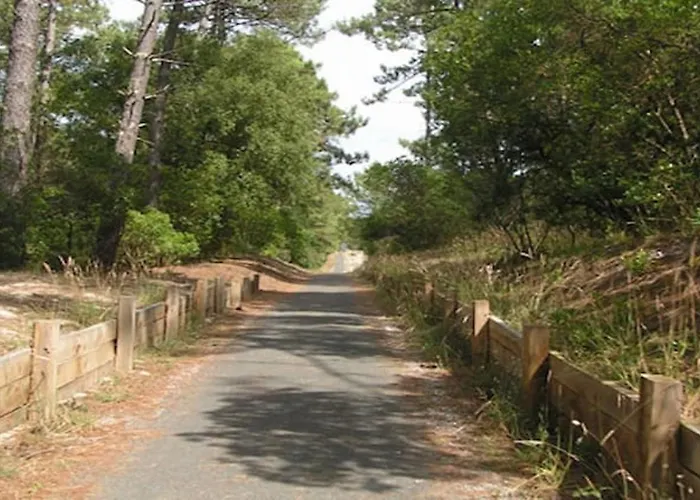 Maison Confortable A Avec Piscine Partagee * Lacanau